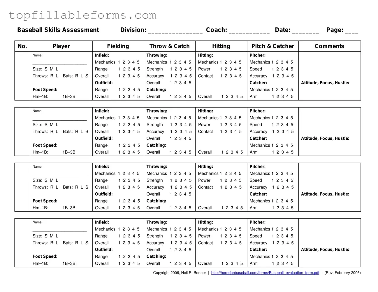 Printable Baseball Assessment Form in PDF