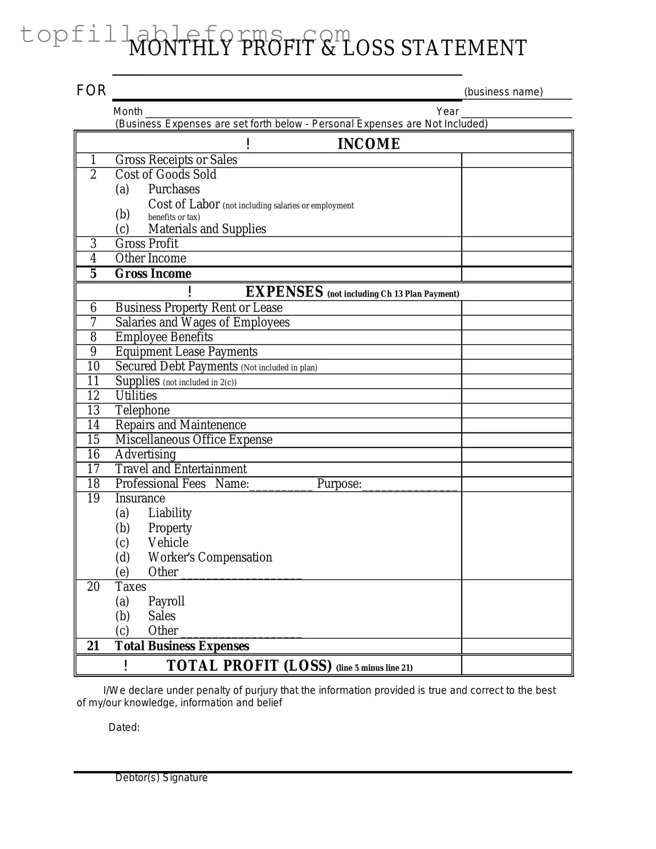 Printable Profit And Loss Form in PDF