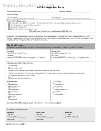 Printable 4 Point Inspection Form in PDF