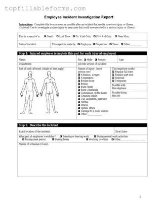 Printable Employee Accident Report Form in PDF