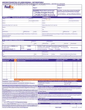 Printable Fedex Bill Of Lading Form in PDF