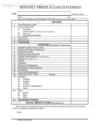 Printable Profit And Loss Form in PDF