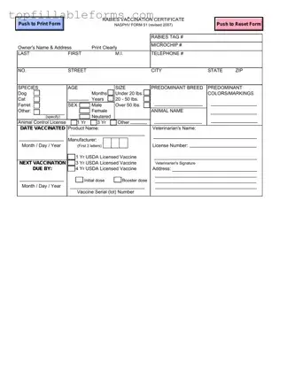 Printable Rabies Certificate Form in PDF