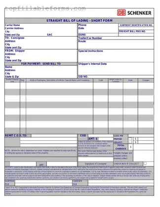 Printable Straight Bill Of Lading Form in PDF